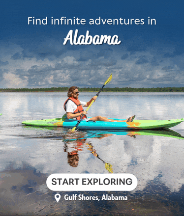ONLINE BUS & VAN CHARTERING IN VENUEEXPLORER